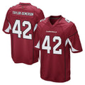 Ncoe A.Cardinals #42 Dadrion Taylor-Demerson Player Cardinal Home Game Stitched Jerseys